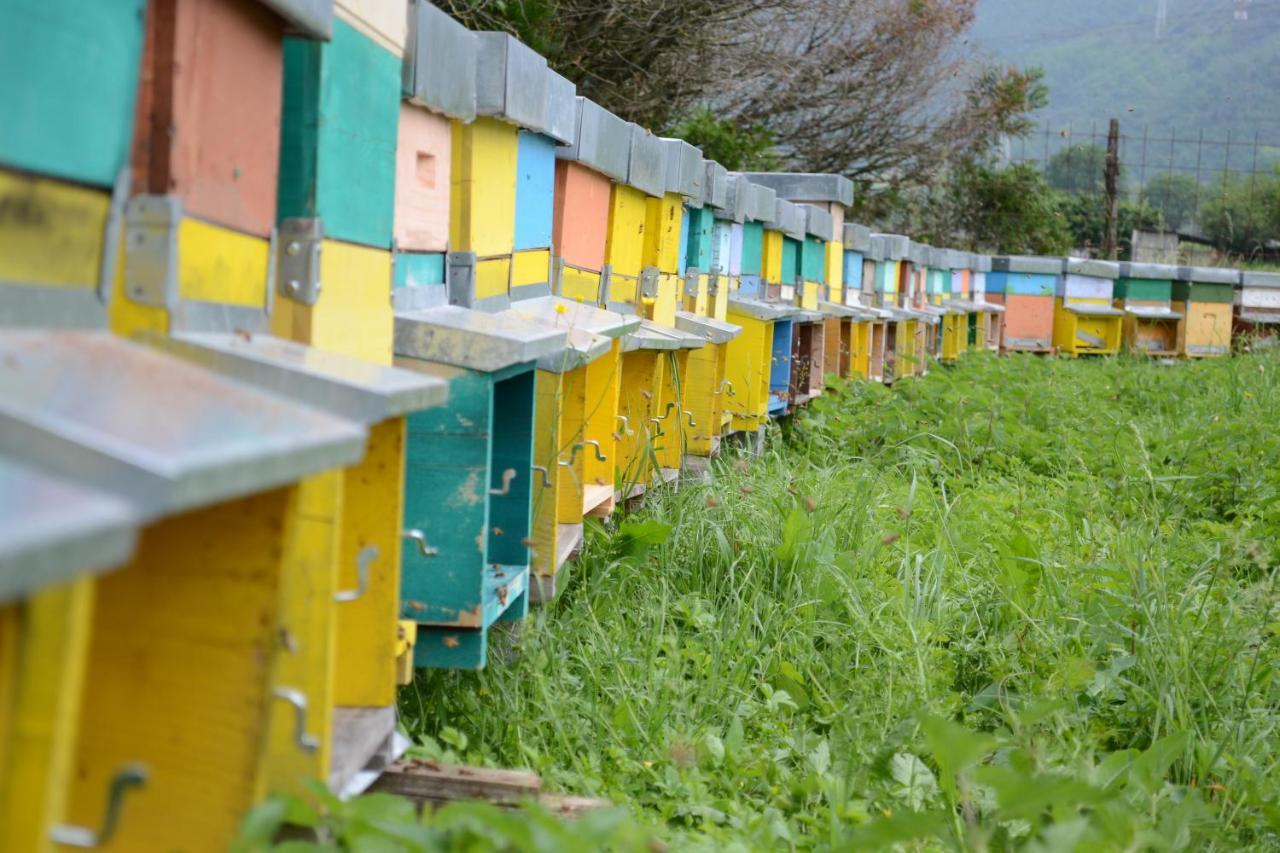 Agriturismo Dalla Natura La Salute Giustino Exteriör bild